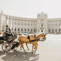 Wiener Fiaker Kutsche © unsplash.com / Sandro Gonzalez Klassische Wiener Fiaker Kutsche