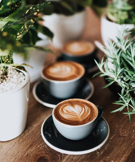 Drei große Cappuccino stehen auf einem Holztisch mit Dekopflanzen