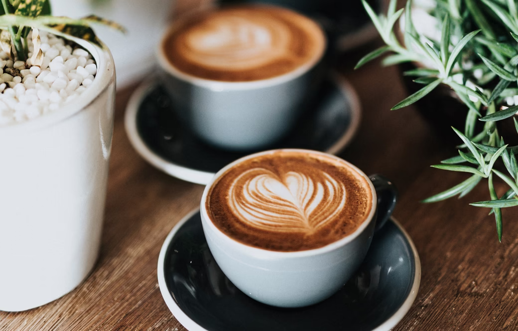 Drei große Cappuccino stehen auf einem Holztisch mit Dekopflanzen